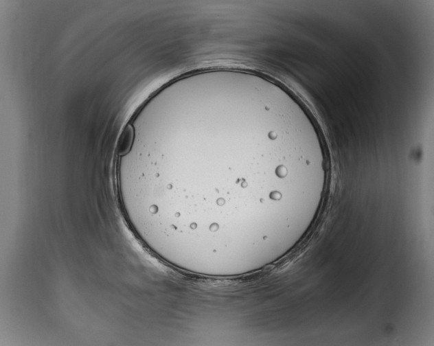 X0000115021293200911231242