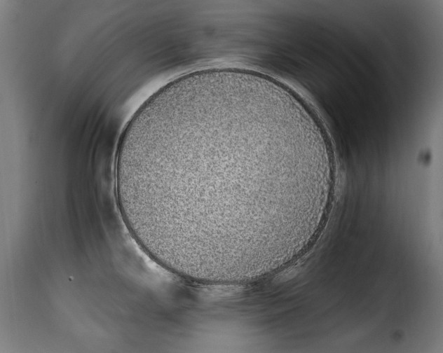 X0000115021294200911231242