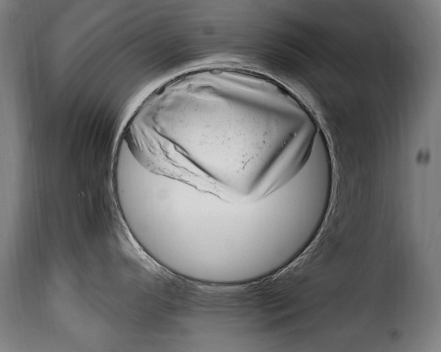 X0000115021296200911231242