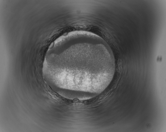 X0000115021297200911231241