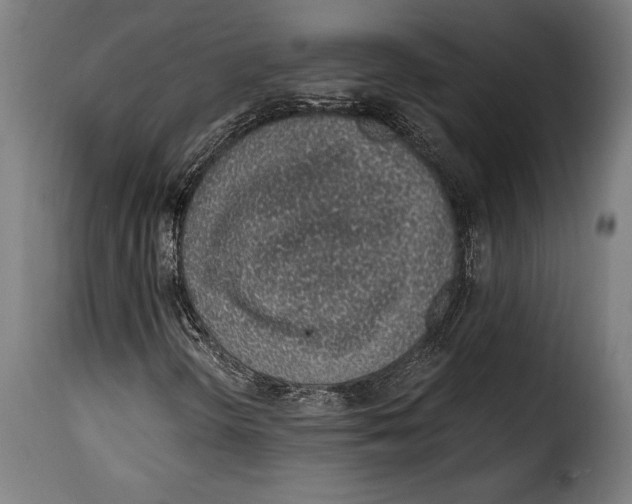 X0000115021298200911231241