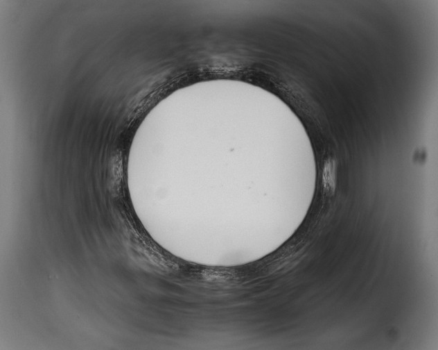 X0000115021299200911231241