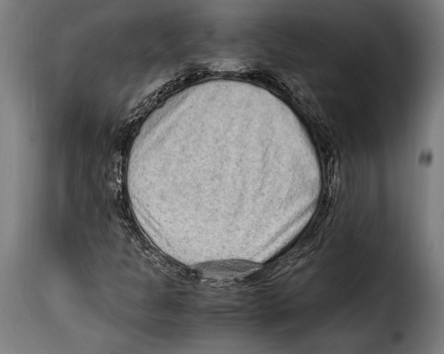 X0000115021301200911231241