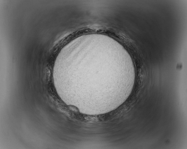 X0000115021302200911231241