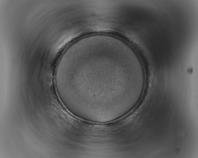 X0000115021306200911231241