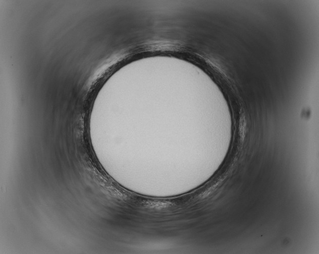 X0000115021309200911231241