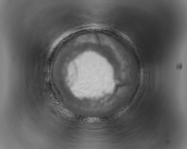 X0000115021310200911231241