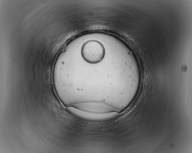 X0000115021313200911231241