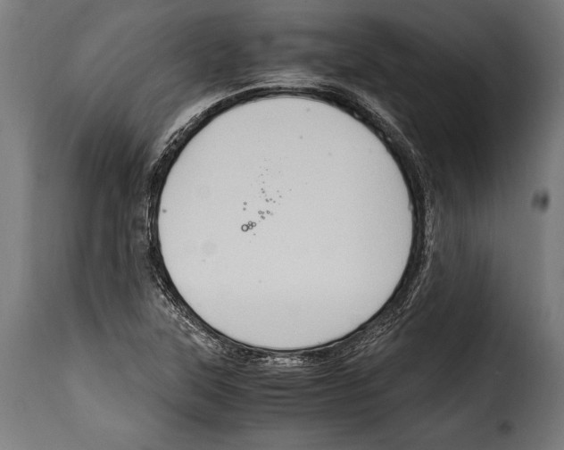 X0000115021315200911231241