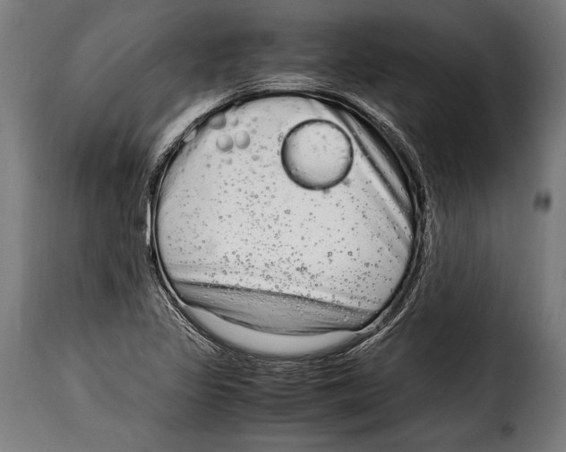 X0000115021317200911231241