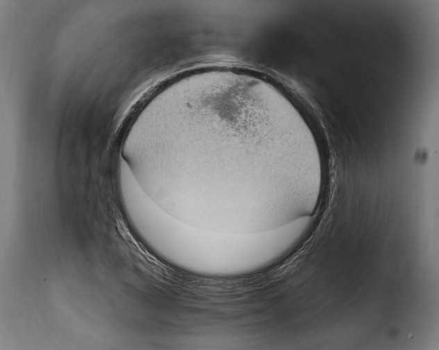 X0000115021318200911231241