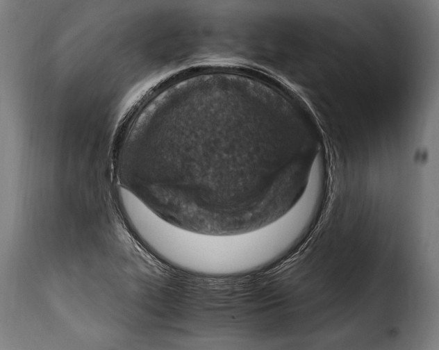 X0000115021319200911231241