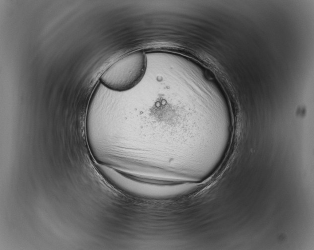 X0000115021321200911231241