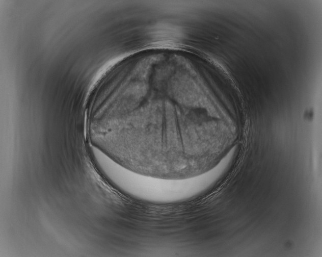 X0000115021323200911231241