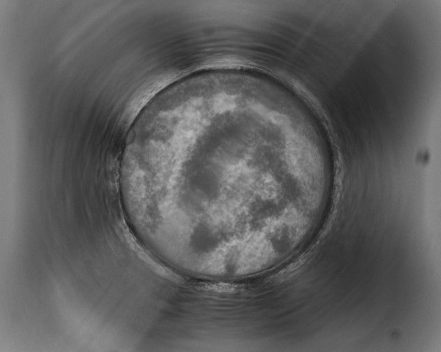 X0000115021329200911231241