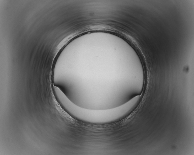 X0000115021330200911231241