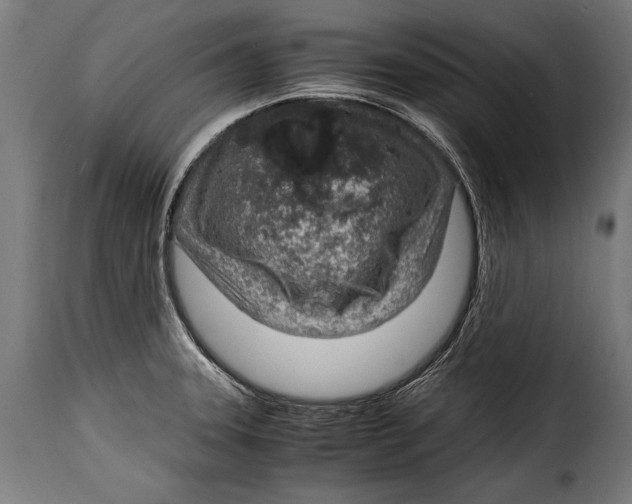 X0000115021331200911231242