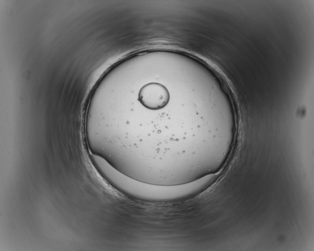 X0000115021333200911231242