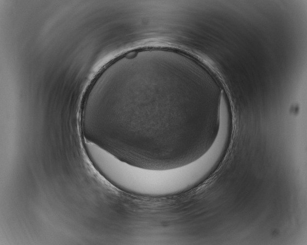 X0000115021334200911231242