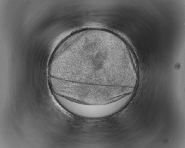 X0000115021335200911231242