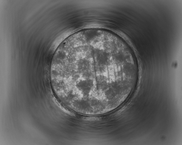 X0000115021337200911231242