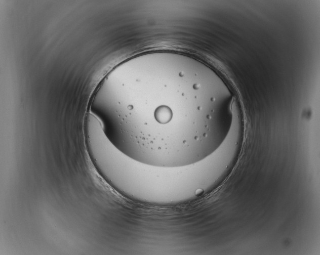 X0000115021338200911231242