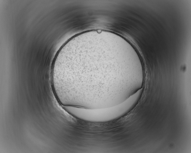 X0000115021339200911231242