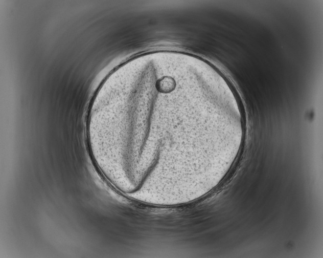 X0000115021341200911231242