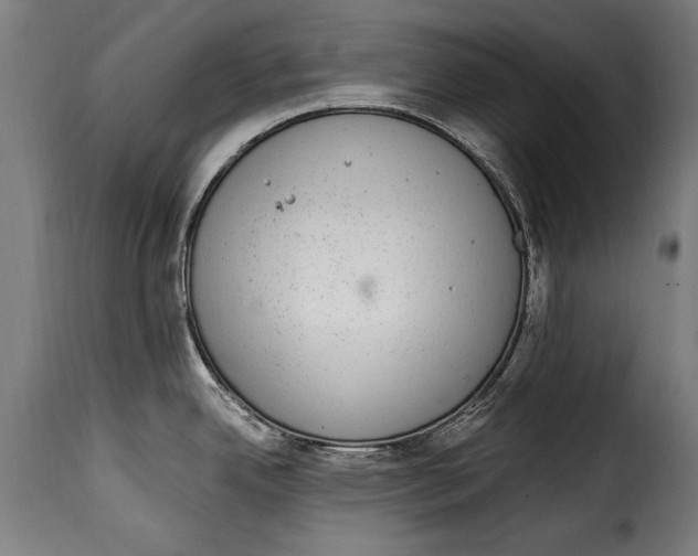 X0000115021342200911231242