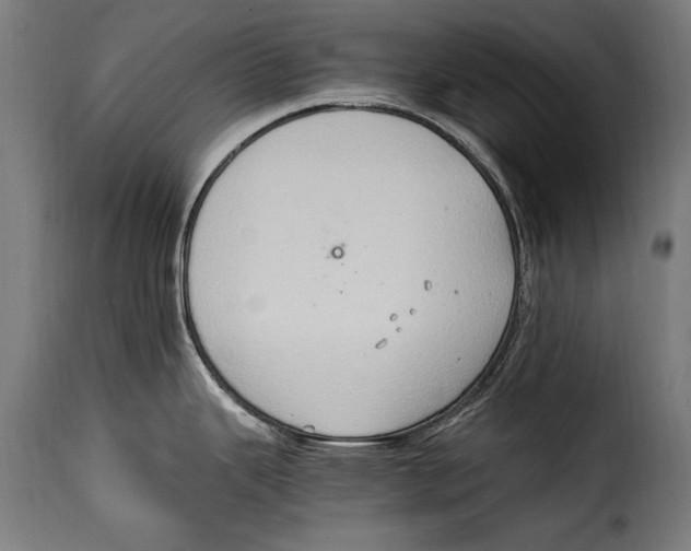 X0000115021343200911231242