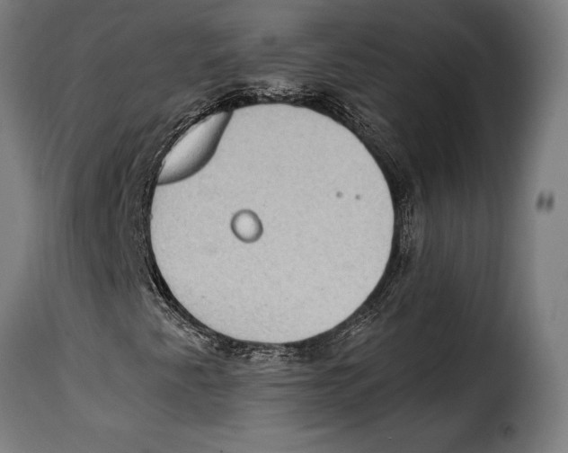 X0000115021345200911231241