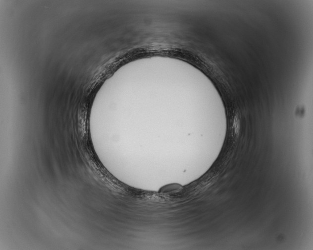 X0000115021348200911231241