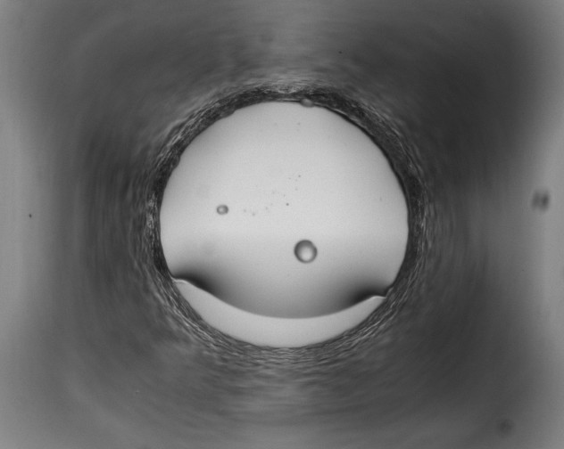 X0000115021349200911231241