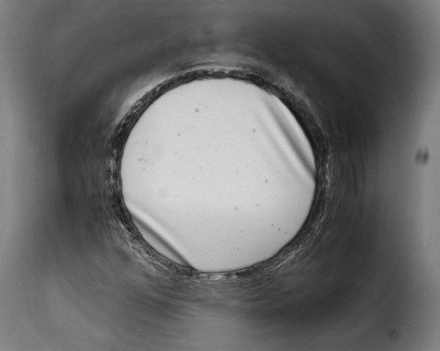 X0000115021352200911231241