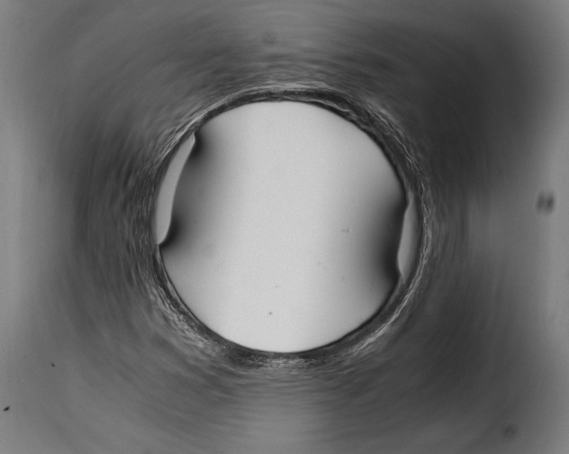 X0000115021353200911231241