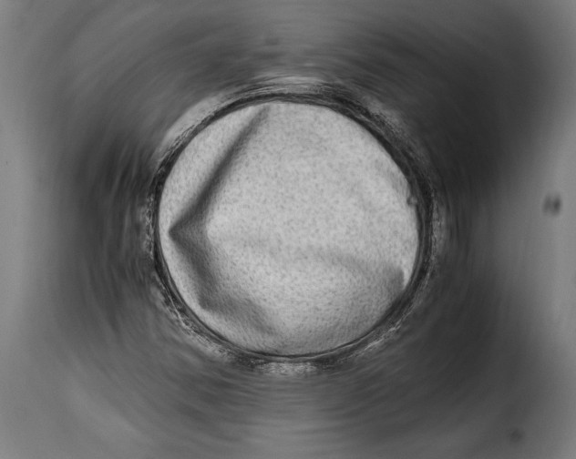 X0000115021354200911231241