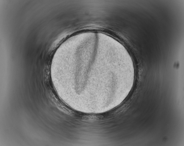 X0000115021355200911231241