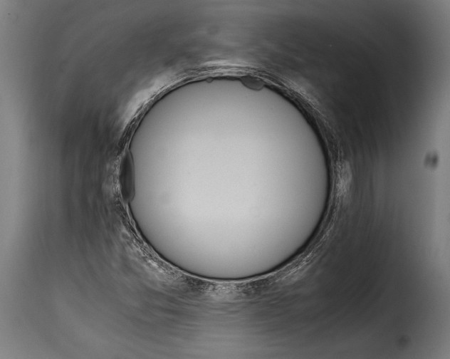 X0000115021357200911231241