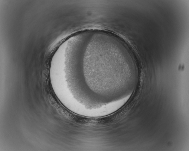 X0000115021359200911231241