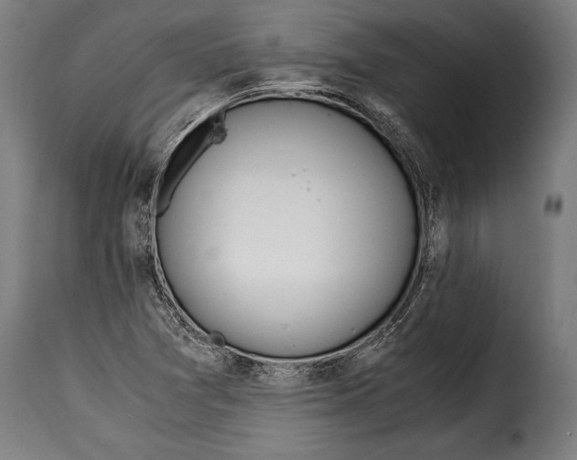 X0000115021361200911231241