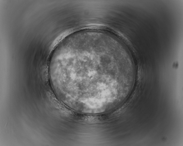 X0000115021362200911231241