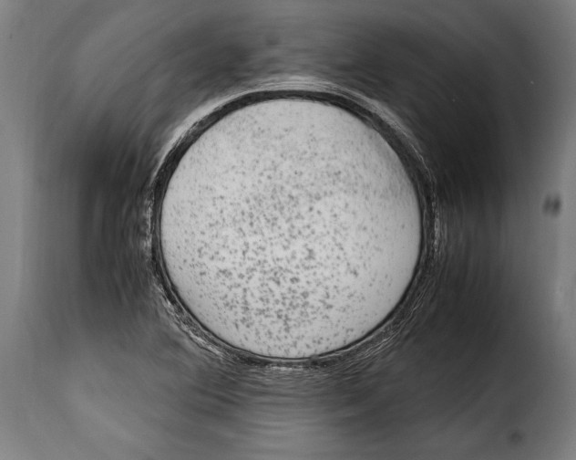 X0000115021364200911231241