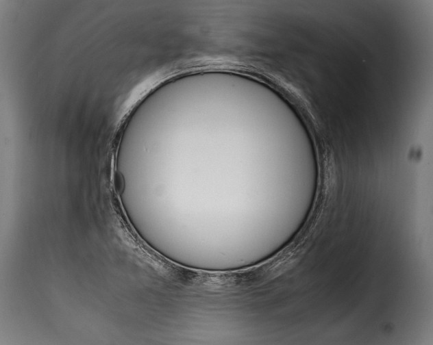 X0000115021365200911231241