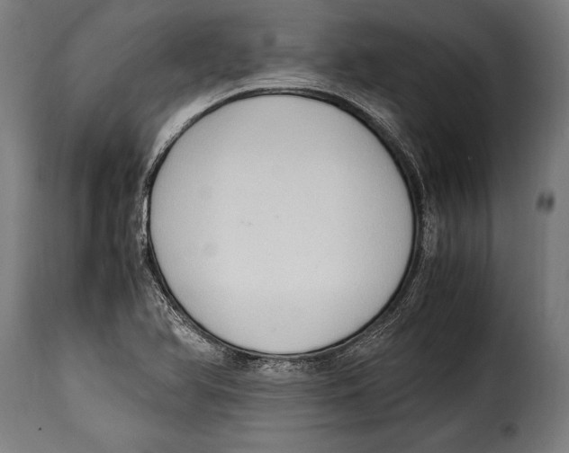 X0000115021366200911231241