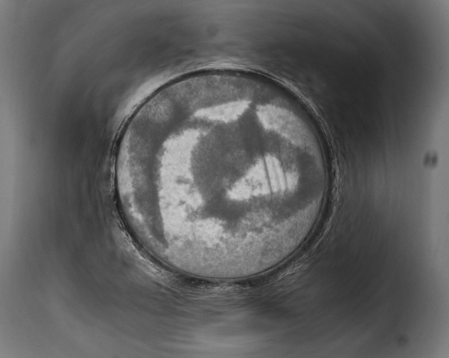 X0000115021367200911231240