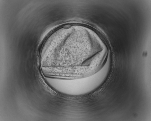 X0000115021368200911231240