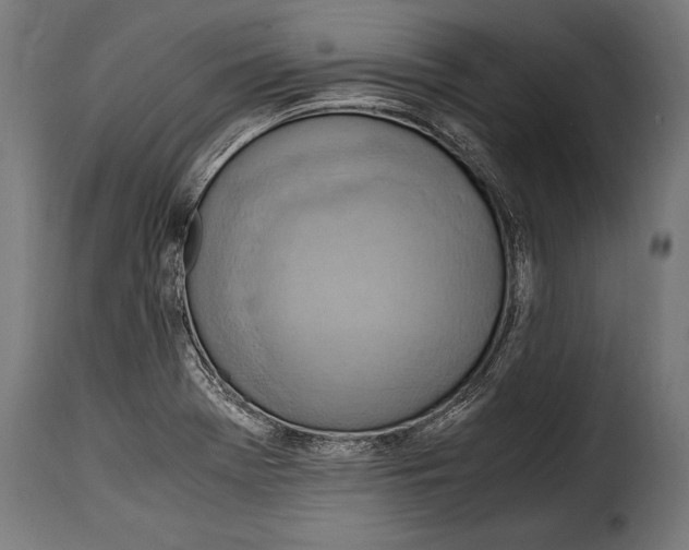 X0000115021369200911231240