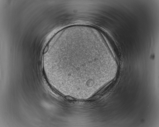 X0000115021371200911231240