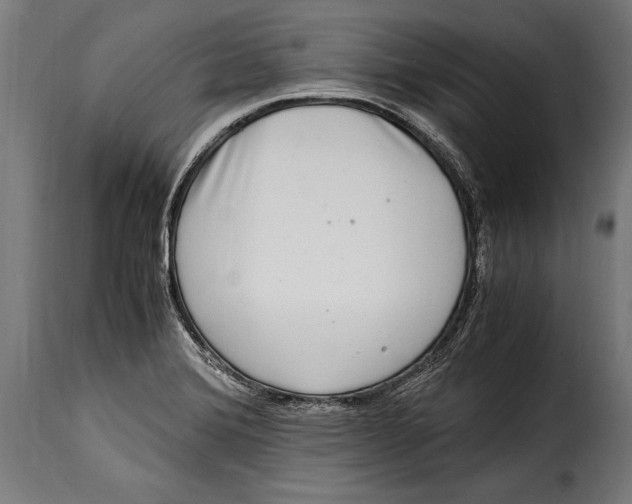 X0000115021372200911231240