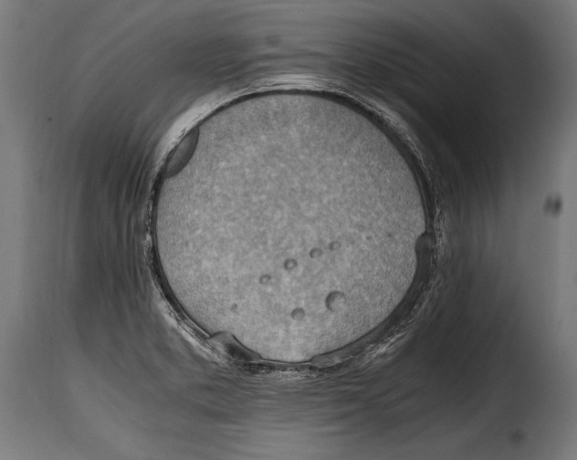 X0000115021373200911231240